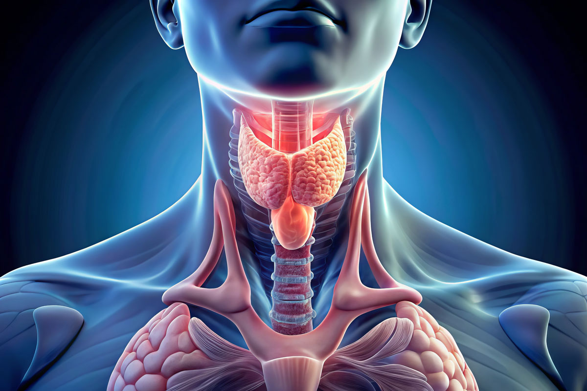 DNV cervicale et sphère ORL